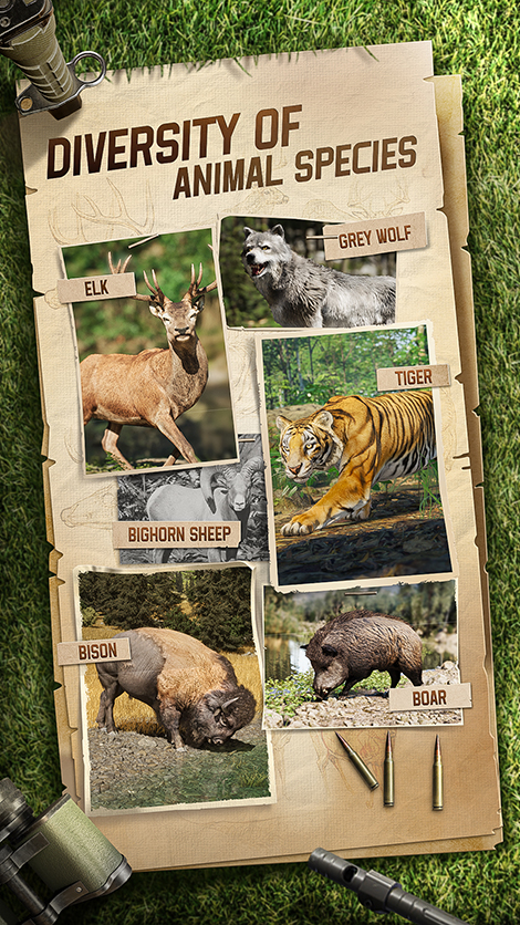 DIVERSITY OF ANIMAL SPECIES