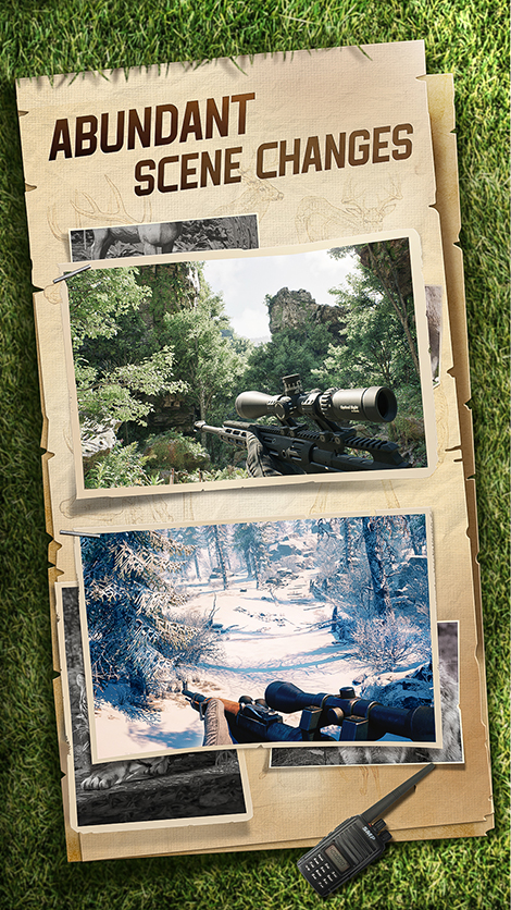 ABUNDANT SCENE CHANGES